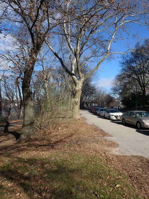 NYC_2020-01-29 10-27-45_P1080388